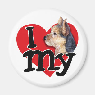 Imã australiano Terrier I (coração) my