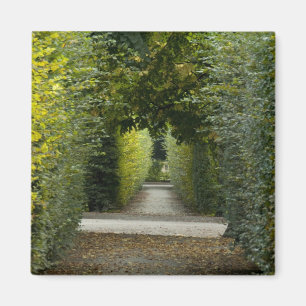 Imã Áustria, Viena. Barroco 2 de Maria Theresa