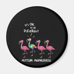 Imã Autista É bom ser diferente de Flamingo Quebra-c