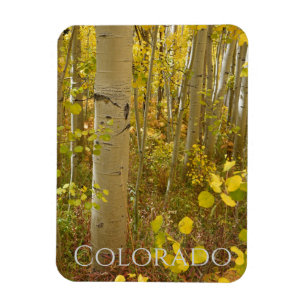 Ímã Autumn Aspende sobre Independência no Colorado