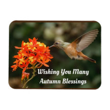 Autumn Bembeleja O Hummingbird Flexible Magnet