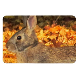Ímã Autumn Bunny