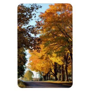 Ímã Autumn Colors on Country Road