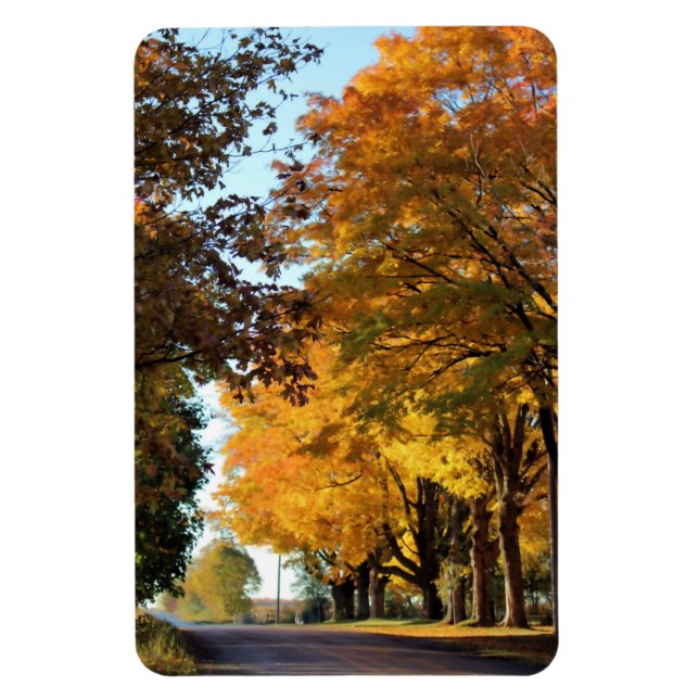 Ímã Autumn Colors on Country Road (Vertical)