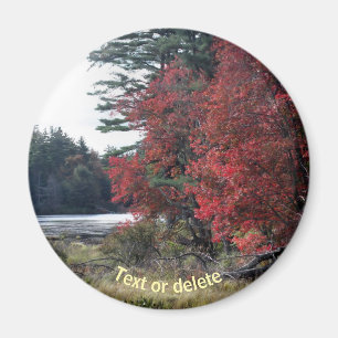 Imã Autumn Foliage Pond Nature Photoics