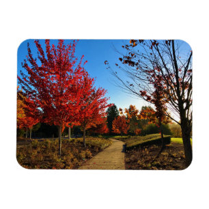 Ímã Autumn in Park, Oregon