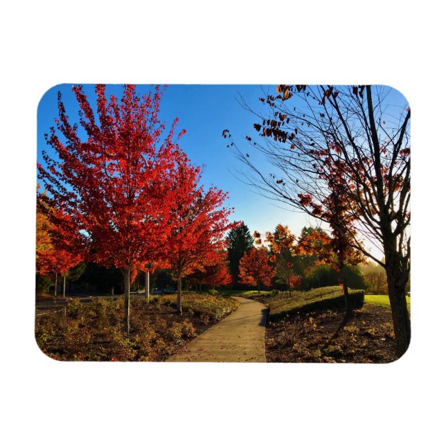 Ímã Autumn in Park, Oregon (Horizontal)