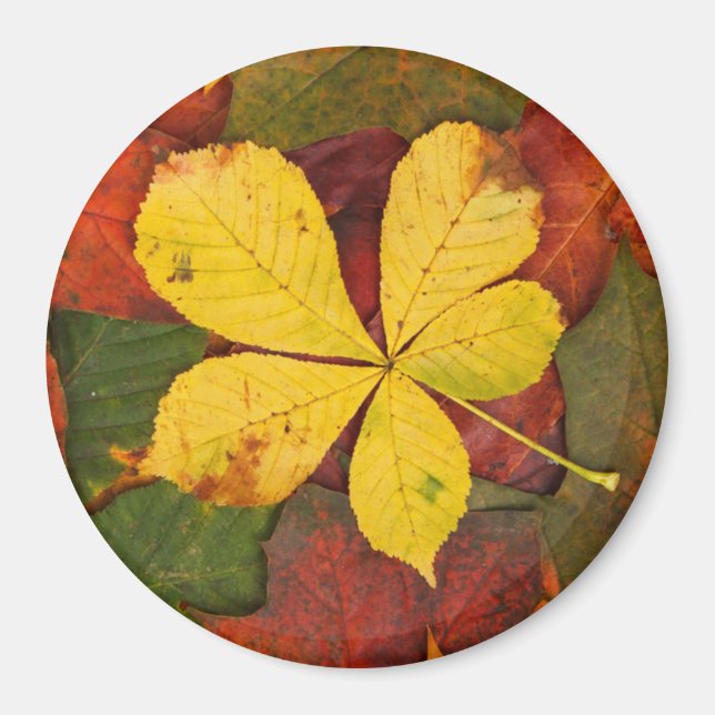 Imã Autumn Leaf Magnet (Frente)
