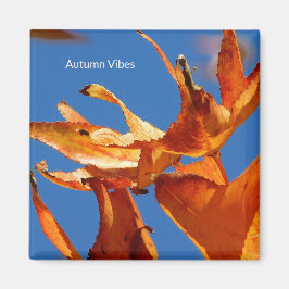 Imã "Autumn Leaves on Blue Sky"