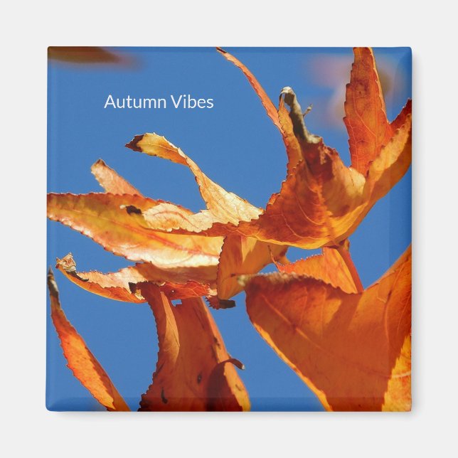 Imã "Autumn Leaves on Blue Sky" (Frente)