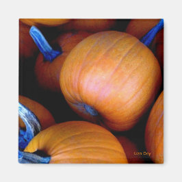 Imã 'Autumn Pumpkins' Magnet
