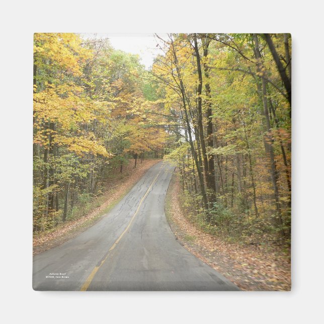 Imã Autumn Road Magnet (Frente)