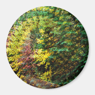 Imã Autumn Whirlwind.....