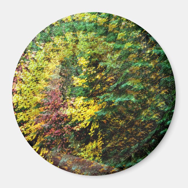 Imã Autumn Whirlwind..... (Frente)