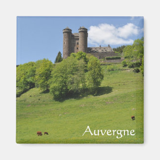 Imã Auvergne castau magnet
