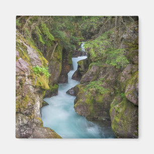 Imã Avalanche Creek, Parque Nacional Glacier, Montana
