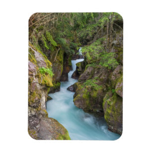 Ímã Avalanche Creek, Parque Nacional Glacier, Montana