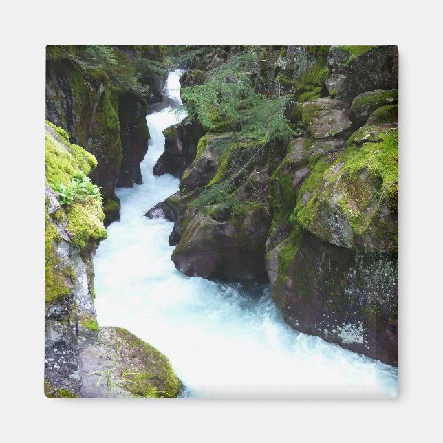 Imã Avalanche Gorge I no Glacier National Park (Frente)