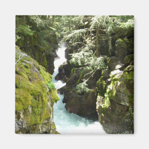 Imã Avalanche Gorge II no Parque Nacional Glacier