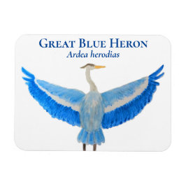 Ímã Ave Aquarela Excelente Científico Azul Herão