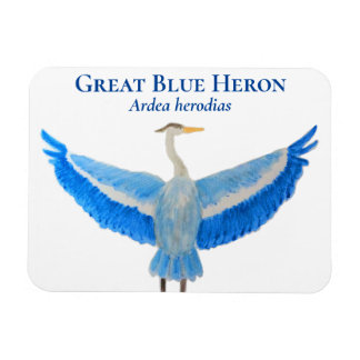 Ímã Ave Aquarela Excelente Científico Azul Herão