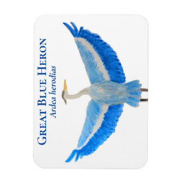 Ímã Ave Aquarela Excelente Científico Azul Herão