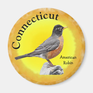 Imã Ave de Estado de Connecticut
