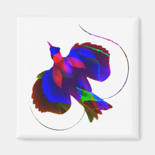 Imã Ave do Paraíso do Magnet Papua-Nova Guiné