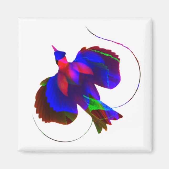 Imã Ave do Paraíso do Magnet Papua-Nova Guiné (Frente)