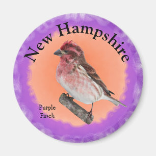 Imã Ave Estatal de New Hampshire