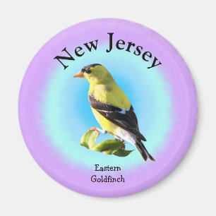 Imã Ave Estatal de Nova Jersey
