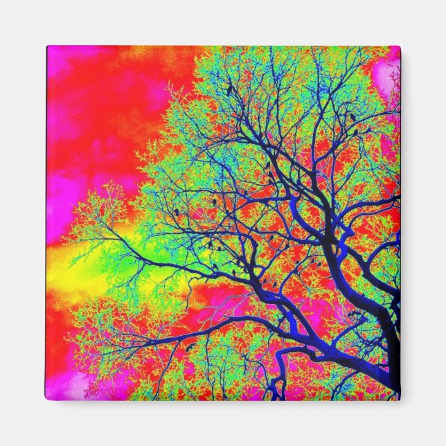 Imã Ave Magnet (Frente)