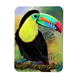Ímã Ave Tropical Toco Toucan Exótica - Pintura Migrad