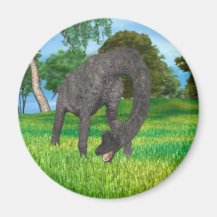 Imã Aventura na Selva do Dinossauro de Pescoço Longo