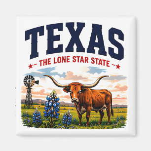Imã Aventura Texas Lone Star