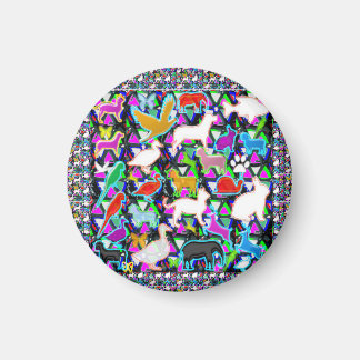 Imã Aves Animais Animais Animais Animais De Companhia 