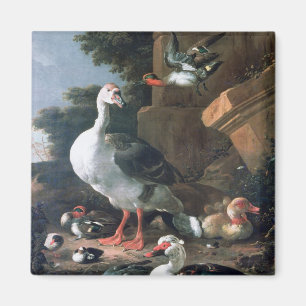 Imã Aves aquáticas em uma paisagem clássica, século