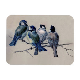 Ímã Aves Azuis e Cinzas numa safra de aquarela de Rami