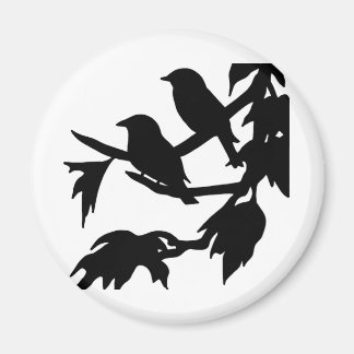 Imã aves canoras