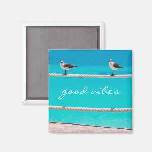 Imã Aves de Caivota Turquoise Ocean Foto Boas Víblias