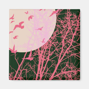 Imã aves de proteção