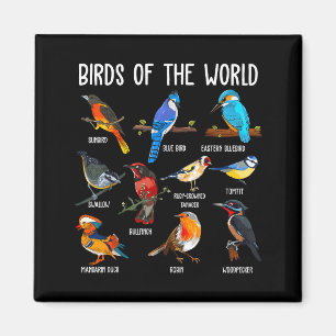 Imã Aves do Mundo Educativo Colorido Pássaro
