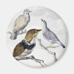 Imã Aves em Galho com Tom Neutro Elegante Arte