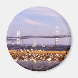 Imã Aves na Baía de Chesapeake