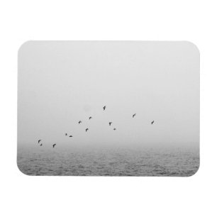 Ímã Aves no nevoeiro