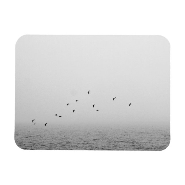 Ímã Aves no nevoeiro (Horizontal)