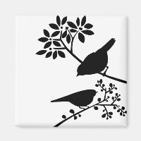 Aves Pretas e Brancas