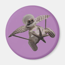 Avião de Arte Shell