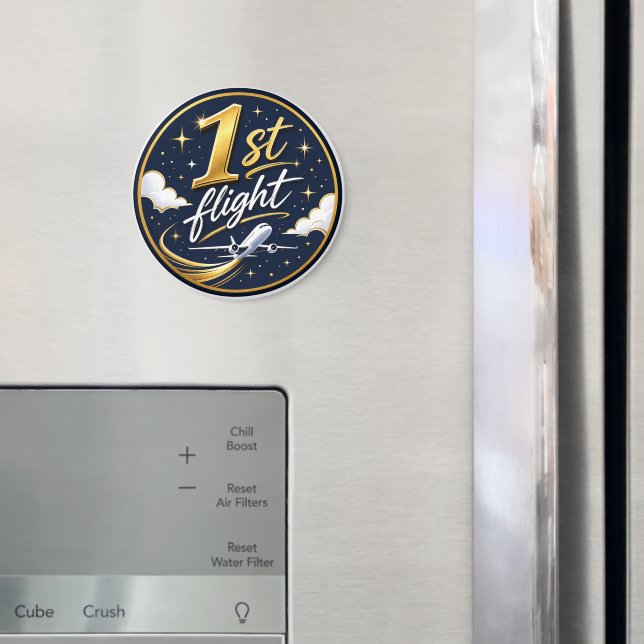 Imã avião do primeiro voo  (In Situ (Fridge))
