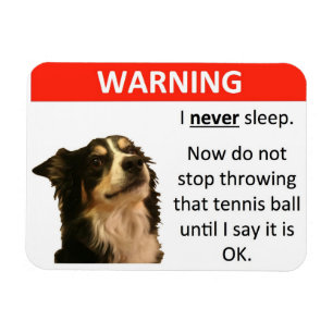 Ímã Aviso da bola de tênis (border collie)